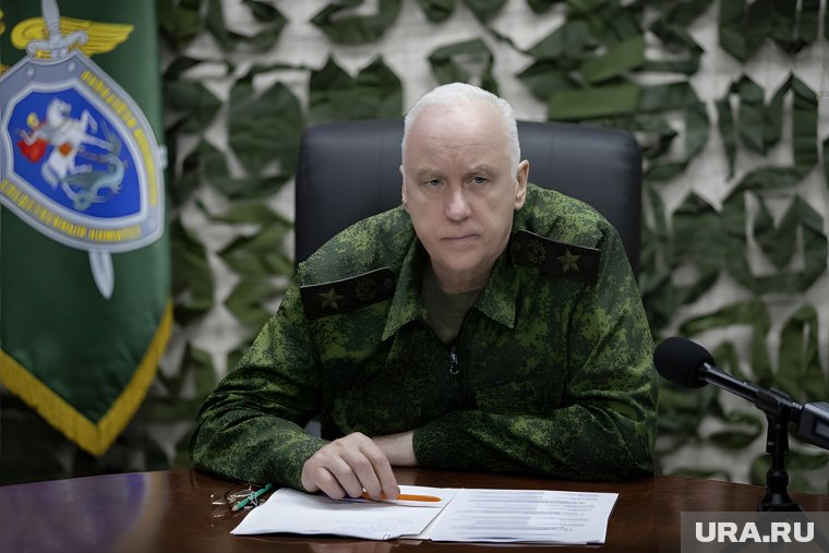 Бастрыкину доложат о нападении бездомной собаки на вартовчанку