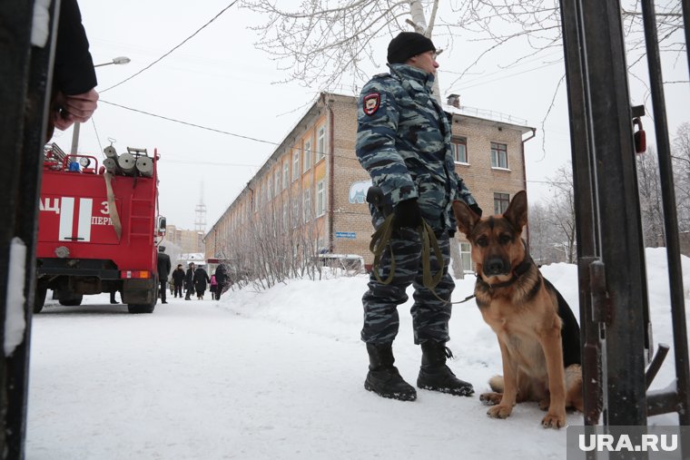 В Надыме прошла эвакуация в школах и ТЦ (архивное фото)