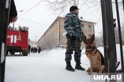 В Надыме прошла эвакуация в школах и ТЦ (архивное фото)