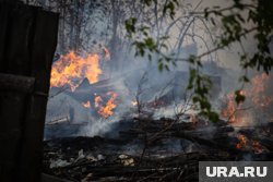 Криминальных признаков смерти не обнаружили