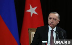 Эрдоган надеется на встречу Путина, Зеленского и Трампа в Стамбуле
