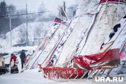 Трапезников подарит подарки троим гостям Дня оленевода, которые правильно посчитают количество чумов на площадке