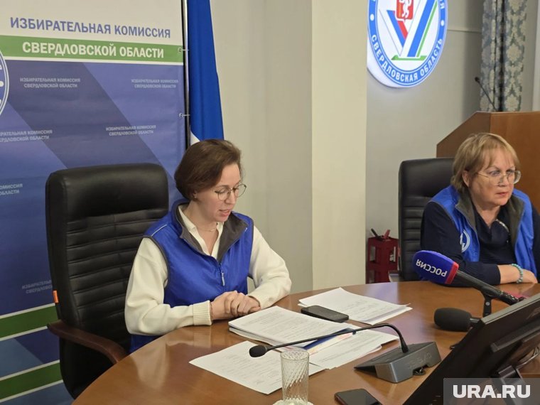 Елена Клименко на брифинге в облизбиркоме