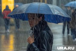 МЧС РФ предупредили жителей Подмосковья о сильных грозах и шквалистом ветре