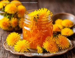 Варенье из одуванчиков по вкусу не уступает привычным фруктово-ягодным разновидностям