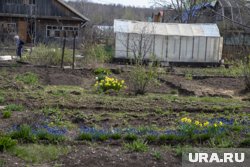 Многие пермяки майские праздники проводят на даче