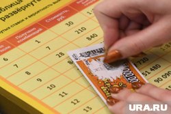 Мужчина на сайте лотереи списывал чужие билеты