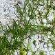 Гейзеры из воды и огромные ледяные шары: Подмосковье накрыл мощный град. Фоторепортаж
