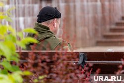 На выплаты участникам СВО, их близким и другим категориям населения направят около 60 трлн рублей