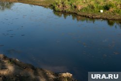 Маленькую девочку унесло течением во время отдыха у воды