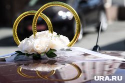 Ноябрьские пары смогут заключить брак в праздничную субботу