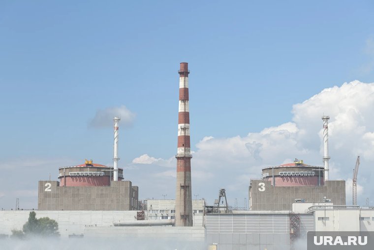 Российская доля на мировом рынке обогащения урана составляет около 40%