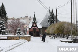 Челябинских детей ждут новогодние кукольные спектакли