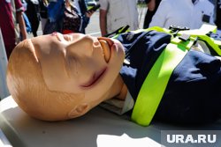 По условию контракта, в школы должны передать свыше 140 манекенов