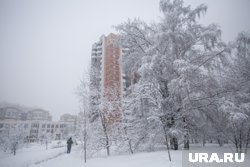 В Московской области выпало рекордное количество осадков спустя 123 года
