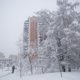 Неласковый май: Московскую область и столицу завалило снегом. Фото, видео