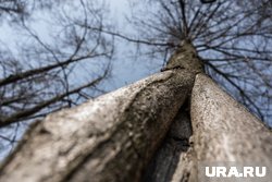 Местами в округе температура воздуха поднимется до +12 градусов
