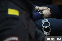 Суд арестовал Шульцева