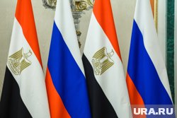К перевозкам привлекут чартерную авиакомпанию из Каира
