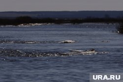 Прогнозируется, что вода будет прибывать еще несколько дней
