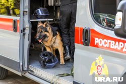 Силовые структуры переходят на усиления в период майских праздников