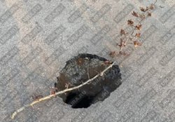 Яма представляла опасность для отдыхающих