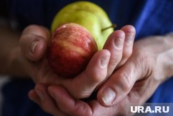 Часть богатого урожая уедет на фронт к бойцам в сушеном виде
