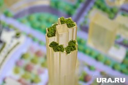 Новую структуру сформировали на базе «Центра технической инвентаризации»