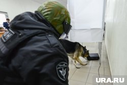 Избирательные участки и школы Челябинской области в сентябре получат дополнительную защиту