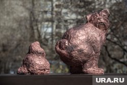 Шуточное объявление размещено в разделе «коллекционирование»