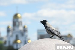 Нельзя конфликтовать и спорить в этот день