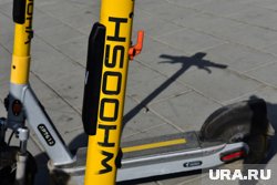 Тюменцы могут сообщить о нарушениях через бот Samokat_ru_bot
