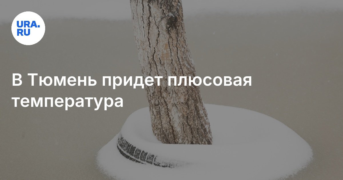 Погода в новотарманском тюменской. Новотарманский поселок тюмень. Погода в новотарманском тюменской. Погода в новотарманском тюменской. Поселок новотарманский тюменская область.