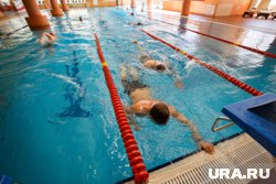 Чемпионат России по водным видам спорта включили в список отборочных мероприятий на чемпионат мира