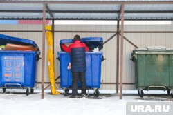 Установка фотофиксации позволит вовремя вывозить мусор (архивное фото)