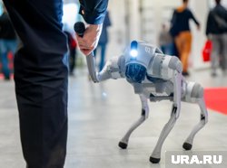 Посетителей выставки в Перми развлекали роботы