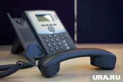 Горячую линию откроют по всем округам Курганской области