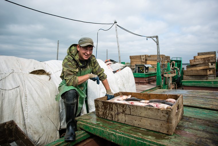 Северный морской путь используется, в том числе, для доставки рыбы в европейскую часть России, подтвердили эксперты