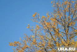 При этом температура поднимется выше +20 градусов