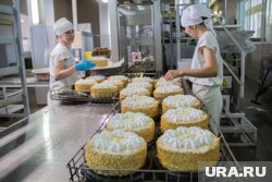 Завод будет производить полторы тысячи тонн сладостей в месяц