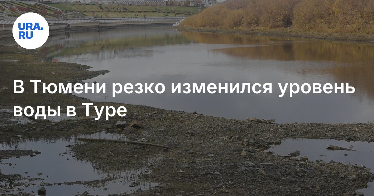 Уровень воды в туре в Тюмени последние данные от 5 ноября 2024 года