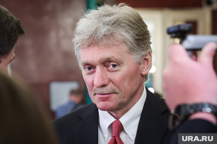 Песков заявил, что Путин и спецпосланник не обсуждали авиасообщение