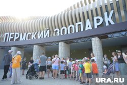 На входе гостей приветствуют аниматоры и волонтеры, раздающие программы мероприятий