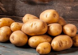 У картофеля существует более 60 видов вредителей