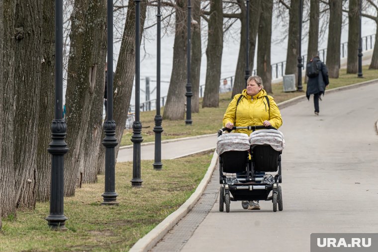 Новая выплата поможет семьям с двумя и более детьми