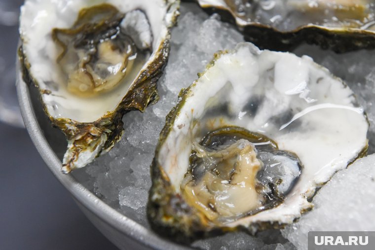 В меню ресторана много морепродуктов 