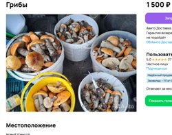 Подберезовики можно купить за 1,5 тысячи рублей 