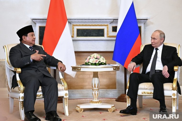 Российско-индонезийские переговоры прошли в петербургской резиденции президента РФ в Стрельне