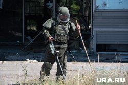 Сотрудники спецслужб осматривают территорию при помощи служебных собак (архивное фото)