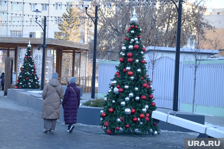 Теплый день спрогнозировали тюменцам синоптики